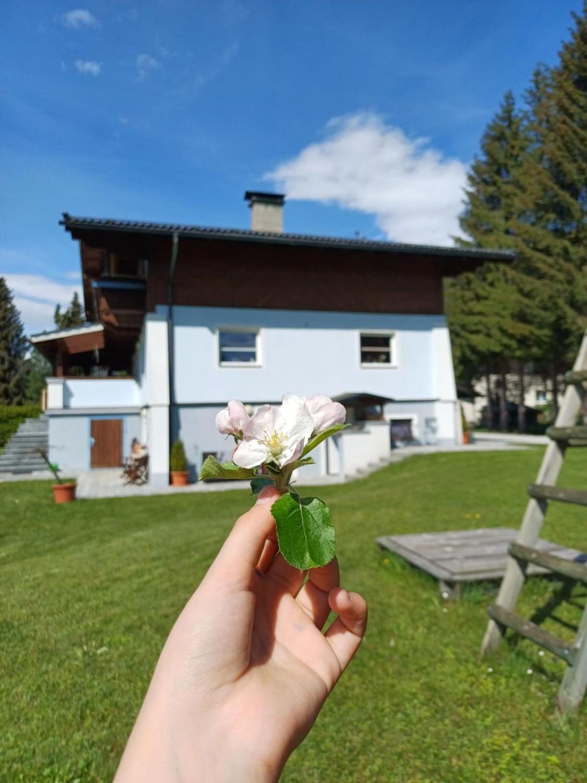 Appartements Am See Neukirchen am Großvenediger Zewnętrze zdjęcie